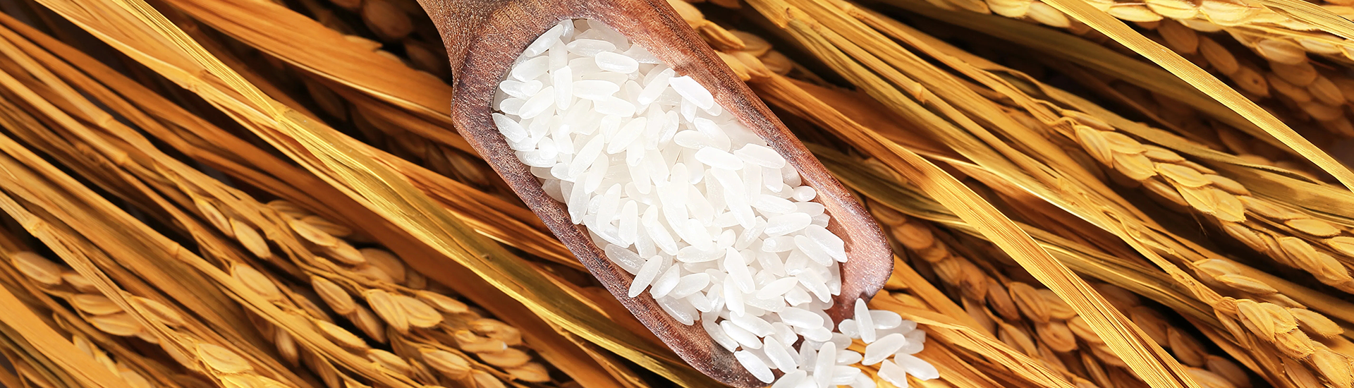 CBPay钱包 -便捷数字钱币支付工具